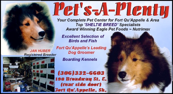 pets-A-plenty.jpg (84318 bytes)
