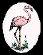 wpe1A.gif (3632 bytes)