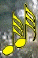 wpe24.gif (6855 bytes)